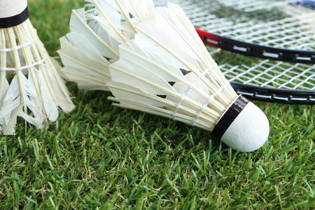 同样吸引眼 同样吸引眼